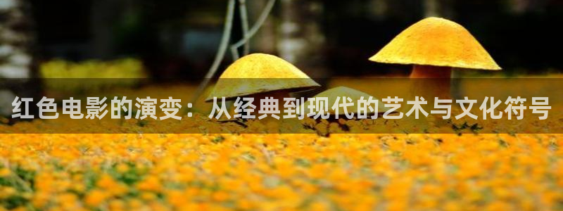 爱丫爱丫好姑娘影院电视剧全集