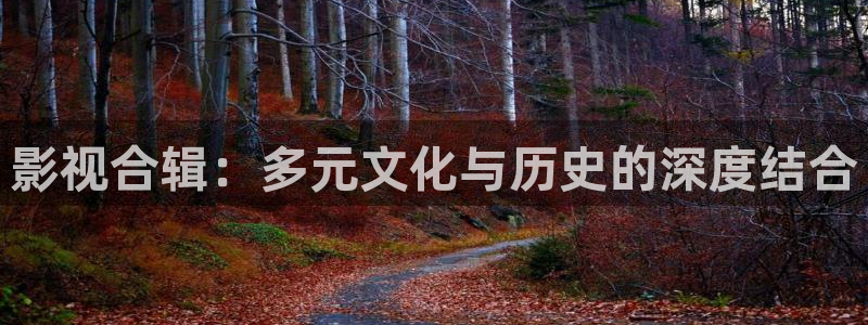 爱丫爱丫免费观看电视剧策驰影院