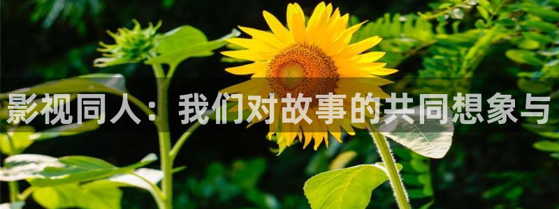 爱丫爱丫影院最新电视剧