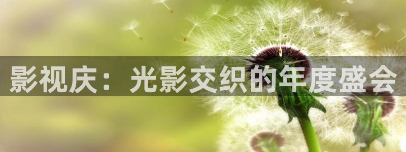 爱丫爱丫免费版在线观看电视剧