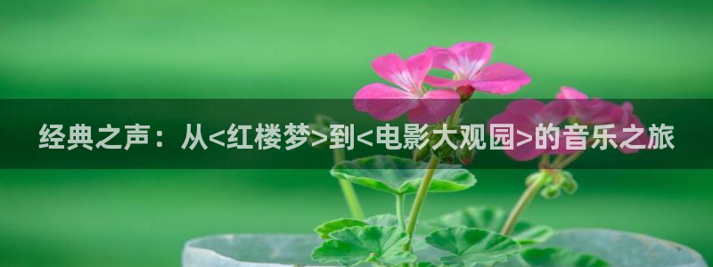 爱丫爱丫在线：经典之声：从<红楼梦>到<电影大观园>的音乐之旅